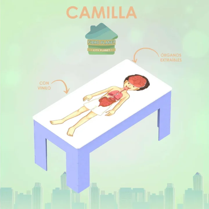 Camilla Cuerpo Humano